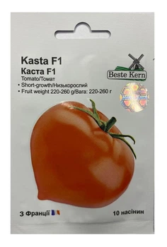 Насіння Томат Каста F1 10 насінин, Beste Kern