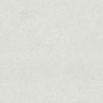 Обои флизелиновая erismann gmk v fashion for walls (p.2) 12262-01 однотонные под бетон серебряный белый Германия