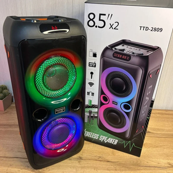 Колонка Bluetooth TTD-2809 с караоке и пультом