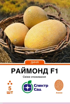 Насіння дині Раймонд F1 5шт