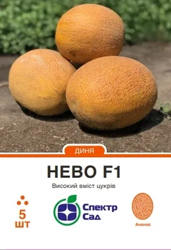 Насіння дині Нево F1 5шт