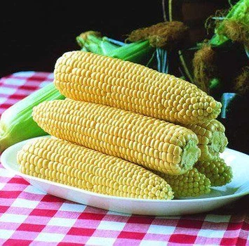 Кукуруза сахарная Спирит F1 Syngenta 10 г