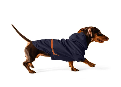 Одяг Noble Pet Moss Long Blue - дощовик для такс та коргі M (M4106/M-Long)