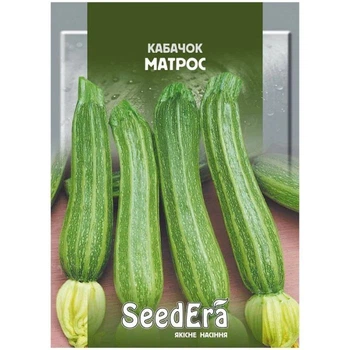 Насіння Кабачок 10г Матрос SeedEra