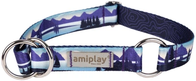 Нашийник для собак Amiplay BeNature півзачіпний M Trails (5907563306035)