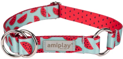 Нашийник для собак Amiplay BeHappy півзачіпний L Watermelon (5907563305748)