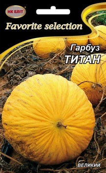 Семена Тыква Титан (НК Элит) 10 г