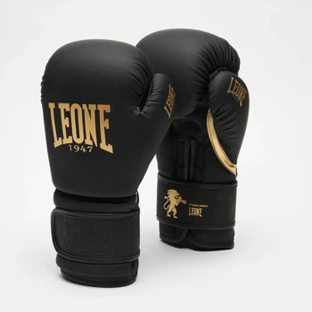 Боксерські рукавички Leone Mono Black 10 ун. (2845_500152)