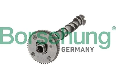 Распредвал Borsehung (B11319)