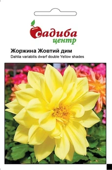 Насіння Жоржини Жовтий Дим Hem Zaden 0,1 г