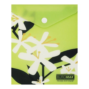 Папка-конверт А6 на кнопці PLUMERIA ARABESKI салатова BM.3922-15 BUROMAX матовий напівпрозорий пластик (4823126816531)