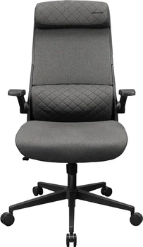 Крісло офісне ергономічне Cougar Stryder Gray CGR-STD-GRB