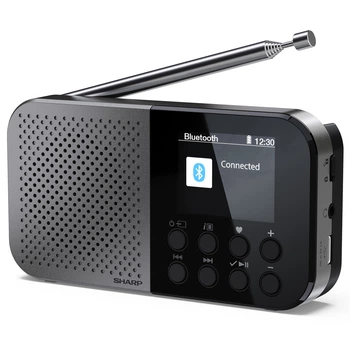 Радиоприемник Sharp DR-P520 Storm Grey