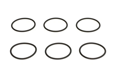 Уплотнительное кольцо Delphi (7200-0100-12B1)