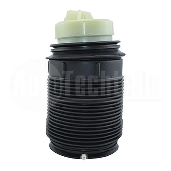 Пневмоподушка права Mercedes Benz W212 E63 AMG 09-16/W218/X218 10-18 AutoTechteile (1103276)