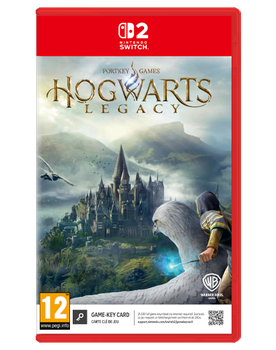 Игра Nintendo Switch 2 Hogwarts Legacy Русские Субтитры Б/У