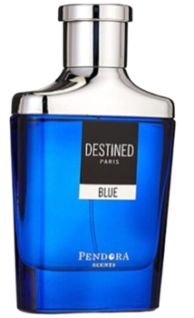 Woda perfumowana unisex Pendora Scents Destined Blue 100 ml (6438585524842)