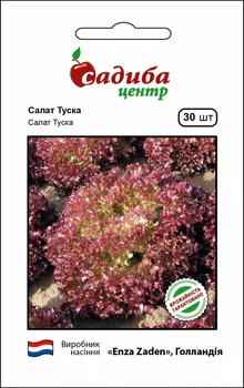 Семена салата Туска, 30шт, Enza Zaden, Голландия, семена Садиба Центр