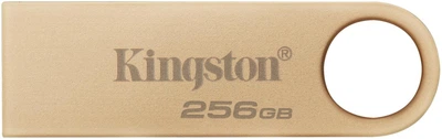 Накопичувач Kingston 256GB USB 3.2 Type-A Gen1 DT SE9 G3