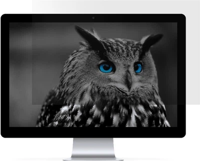 Filtr prywatyzujący NATEC OWL 17.3" (NFP-2288)