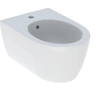 Біде підвісне Geberit iCon T53 см 501.898.JT.1