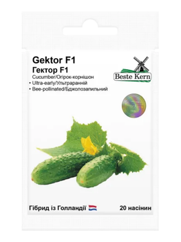 Огірок "Гектор F1" ТМ "Bestе Kern" 20 шт.