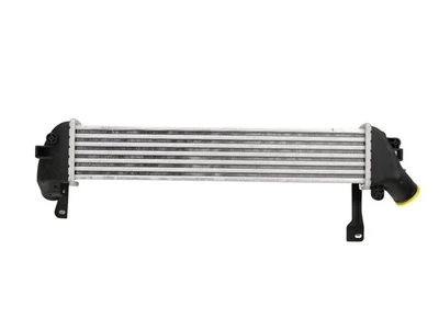 ІНТЕРКУЛЕР RENAULT KANGOO 98> 1.5 dCi FAST FT55591 Renault Kangoo; Nissan Kubistar 8200137653, 8200221885, 8200732390