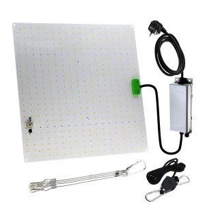 Quantum Board 60w