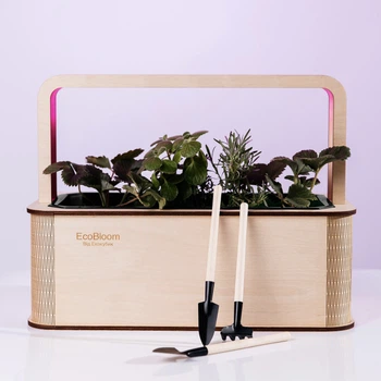 Розумний набір для вирощування рослин «Ecobloom», сад-город
