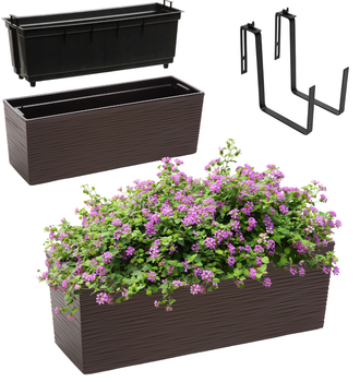 Doniczka Skrzynka balkonowa Kadax Begonia Dluto Uchwyty 19x56 cm Mokka (5903699428856)