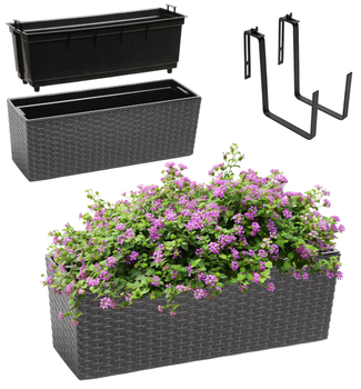 Doniczka Skrzynka balkonowa Kadax Begonia Rattan Uchwyty 19x56 cm Grafit (5903699428931)
