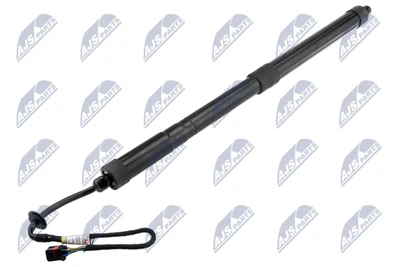 Амортизатор Багажника HYUNDAI SANTA FE/IX45 15- /ПРАВ/ AEHY047 NTY (AEHY047)