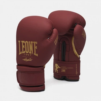 Боксерские перчатки Leone Mono 500240 Bord 10 ун.