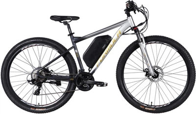 Електровелосипед Formula eF-1 AM DD CS AL 18.5" 29" 48В 17.5А*год 500Вт 2026 Сріблясто-чорний (ELB-FR-29-252)