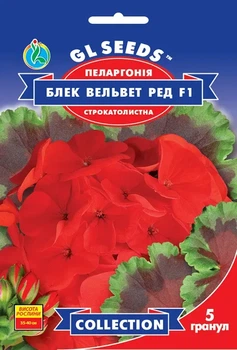 Насіння квітів Пеларгонія Блек Вельвет 5шт