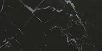 Керамограніт Almera Ceramica Imperium Black 60x120см (QI612P989M)