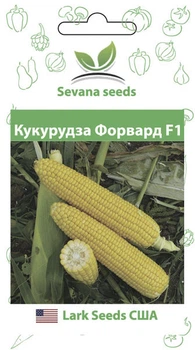 Насіння кукурудзи Форвард F1 20 шт Lark Seeds