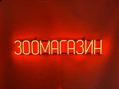 Неоновая вывеска Зоомагазин 792x128 Оранжевый
