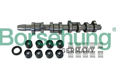 Распредвал Borsehung (B11307)