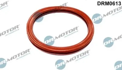 Прокладка корпуса дроссельной заслонки Dr.Motor (DRM0613)