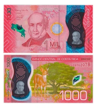 Банкнота 1000 колон Коста-Ріка 2019 (2021) рік полімерна UNC