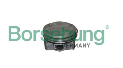Комплект поршня Borsehung (B11135)
