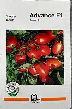 Семена томат Адванс F1 20 семян Nunhems 78135