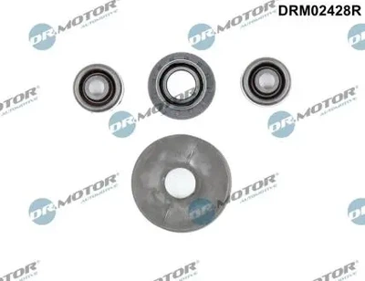 Ремкомплект КПП Dr.Motor (DRM02428R)