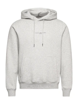 Худі чоловічі TOMMY HILFIGER LOGO TIPPED D-TH-3152AT L (48)