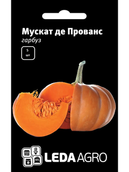 Гарбуз "Мускат де Прованс" ТМ "Leda Agro" 5 шт