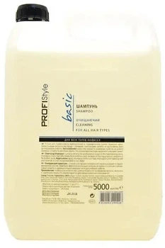 Шампунь Profistyle Basic Очищувальний 5000 мл (4820003290026)