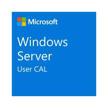 ПЗ для сервера Microsoft Windows Server 2025 CAL - 1 User CAL - 1 year Subscription, Commercial, Annual (DG7GMGF0PWHT_0004_P1Y_A) Microsoft DG7GMGF0PWHT_0004_P1Y_A 914558