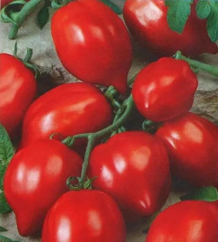 Томат Шарада Satimex 0,3 г