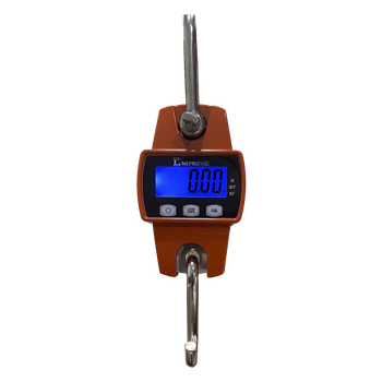 Крановые весы Dneproves ВКД-0,3т-L до 300 кг